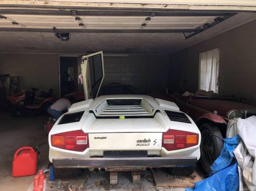 1981 Countach3