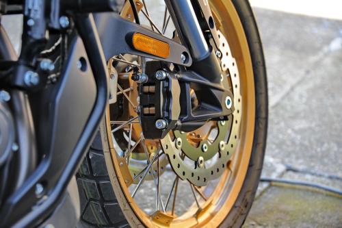 Test - Cyclone RX600 // Foto Dmotion.rs