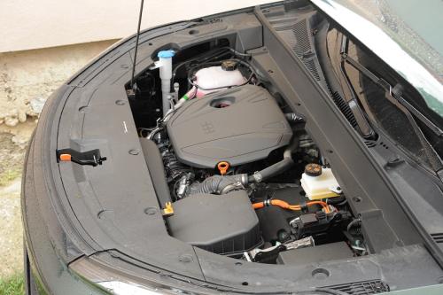 Test - Geely Starray EM-i // Foto: Dmotion.rs