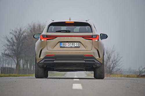 Test – Lexus NX350h Overtrail / Foto: Dmotion.rs