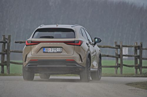 Test – Lexus NX350h Overtrail / Foto: Dmotion.rs
