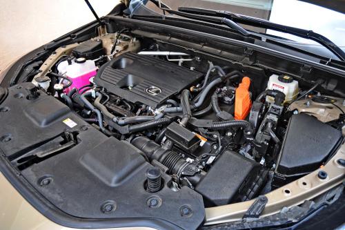 Test – Lexus NX350h Overtrail / Foto: Dmotion.rs