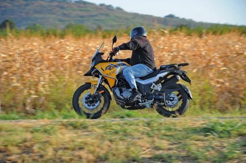 Peda_RX401_009_resize