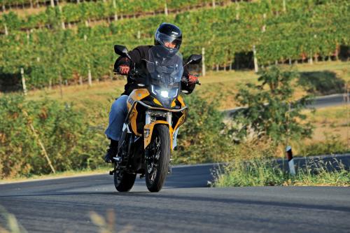 Peda_RX401_010_resize