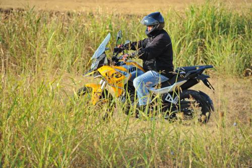 Peda_RX401_013_resize