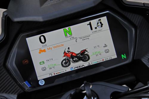 Peda_RX401_038_resize