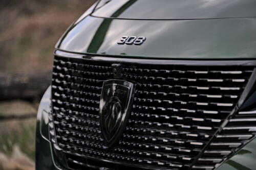 Peugeot_308_016