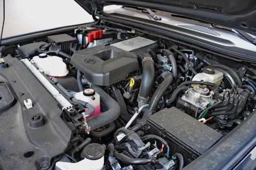 Test - Toyota Land Cruiser MHEV // Foto: Dmotion.rs